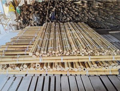 China 18 mm a 160 mm de diâmetro Bamboo Cane Moso Bamboo Pole Construção Agricultura à venda