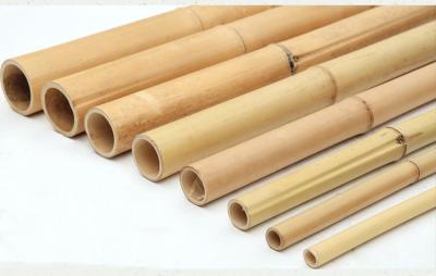 China 100% Natural Raw 240cm Bamboo Pole Building Deoration 60cm To 595cm for sale