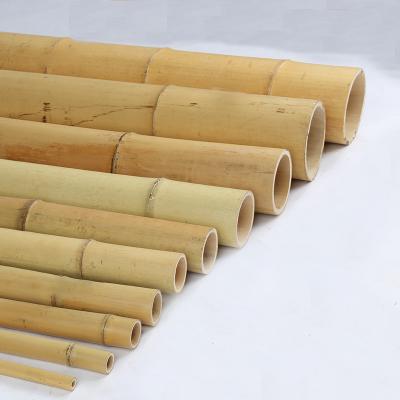 China 18mm To 160mm Diameter Moso Bamboo Pole Construction Garden Agriculture Field Bamboo Cane for sale