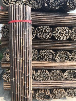 China el 120cm poste de bambú crudo en venta