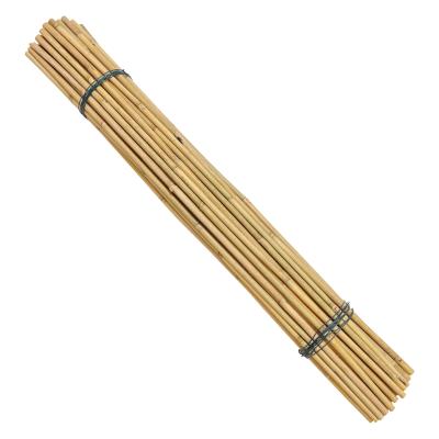 China Customized Natural Bamboo Raw Material Bamboo Stakes 40cm 60cm 90cm Length 6mm Diameter for sale