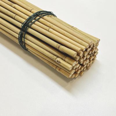 Cina Lunghezza cruda decorativa amichevole di Pali Dia.0.8cm x 100cm del bambù di Eco in vendita