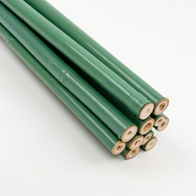 China Plastic Coated Natural Raw Bamboo Poles For Tomatoes Trees Plant Stakes Supports for sale