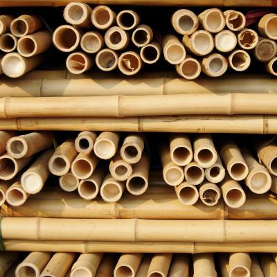China 100 % Natural Strong Durable Moso Bamboo Pole Customize Length for sale