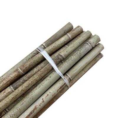China Nature Raw Bamboo Straight Bamboo Poles For Garden Farm Plant Support Building for sale