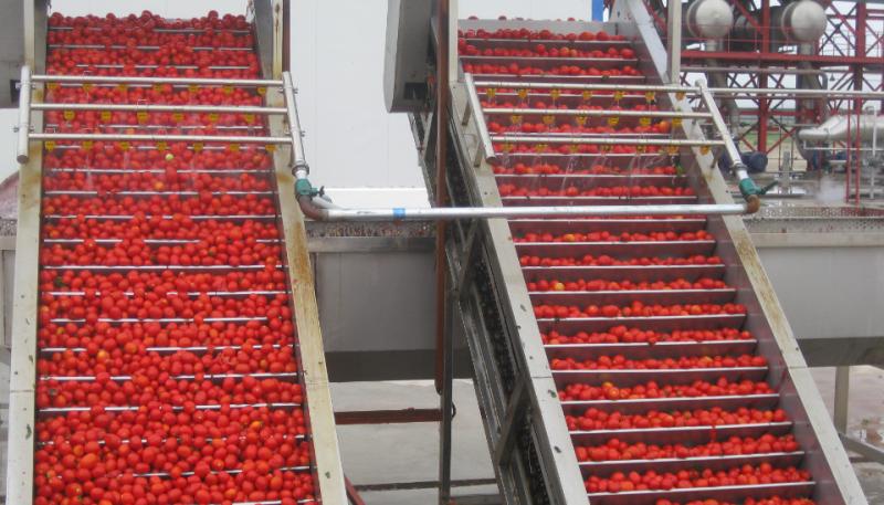 Verified China supplier - Red Tomato Foods Group Limited