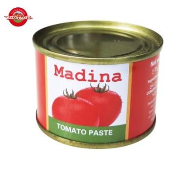 China 70g Canned Tomato Paste for sale