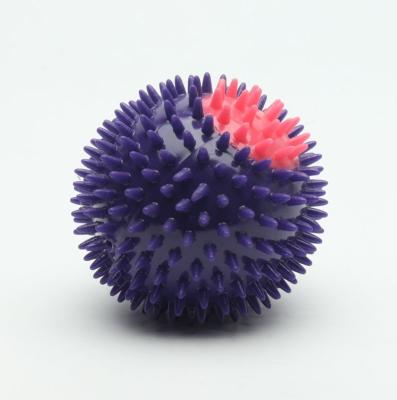 China Grandes bolas sibilantes plásticas Eco do cão do presente TPR - cor personalizada amigável à venda