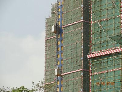 China Grua modular da cremalheira 3000Kg & do pinhão para a construção civil à venda