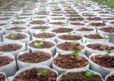 China White Biodegradable Non Woven Grow Bags Plant Grow Bag for sale