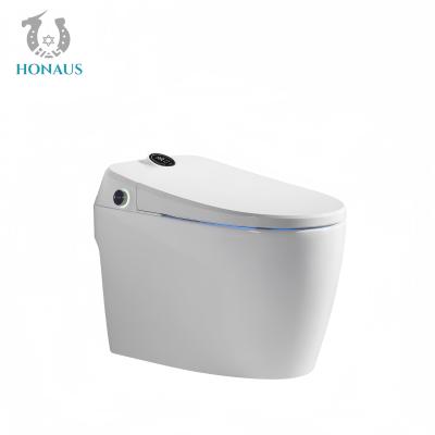 China Toilet inteligente inteligente de lujo multifunción automático de lavado en venta