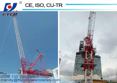 China 2.2ton Tip Load Luffing Jib Tower Crane Specification for 6 ton Crane in Dubai for sale