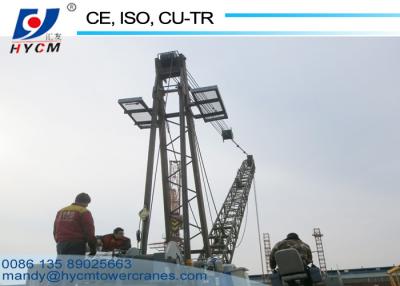 China 8ton WD80 Derrick Crane on the Roof Used for Removing Heavy Tower Cranes for sale