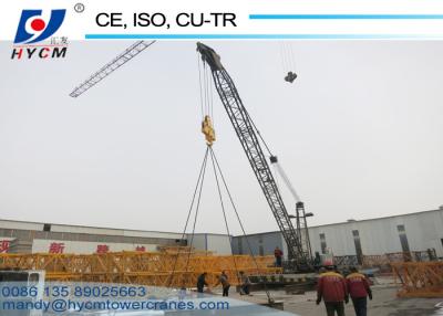 China Inverter No Mast Crane WD2420 Pass the Test 6ton Dismantle Tower Crane for sale