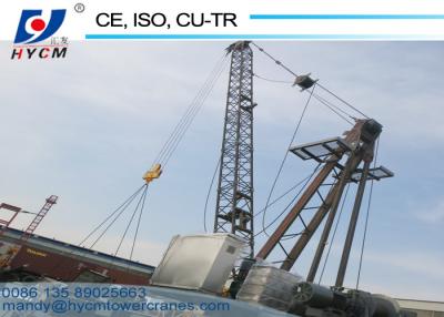 China 100% Brand New Mini Crane Roof Hoist Tower Crane 6ton Derrick Crane WD60(2420) for sale