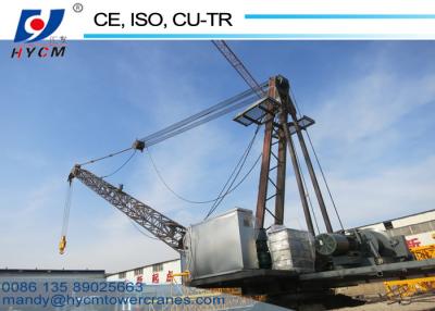 China 0-0.6r/min Slewing Speed No Mast Crane Pass the Test WD2420 Derrick Crane WD60 for sale