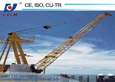 China 380V/50Hz No Mast Crane WD2420 Dismantle Tower Crane 120m Max. Lifting Height 6ton Roof Crane for sale