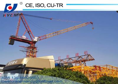 China 50m Tower Crane Boom Length 380V/60Hz Power Supply Luffing Jib Crane with Free Catalogs for sale