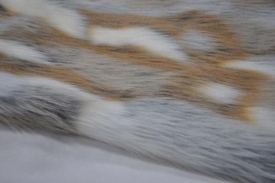 China La tela de la piel de imitación del Fox ártico del telar jacquar, hace su hogar un lugar ideal para relajarse en venta