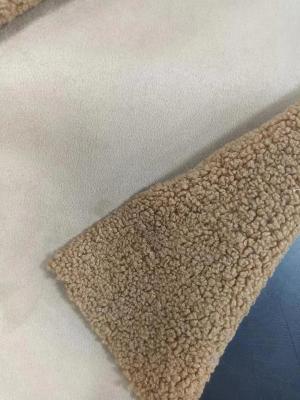 Chine 760gsm Knitted Teddy curly plush fabric composite suede with the same color à vendre