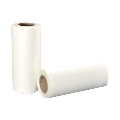 China 24 Inch Inkjet Polyester Film  Glossy Opaque for sale