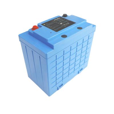 China 48V 20Ah Lithium Iron Phosphate Battery LiFePo4 Battery Pack for sale