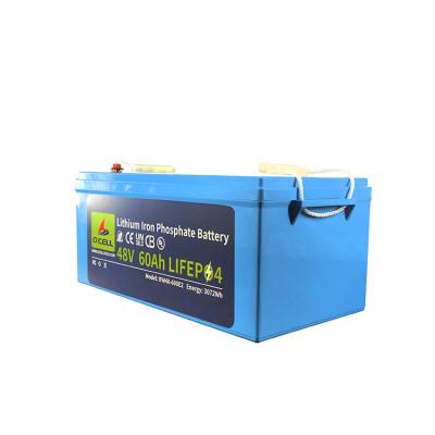 China BMS LiFePo4 Battery Pack 48V 60Ah 120Ah Lithium Iron Phosphate Battery Pack en venta