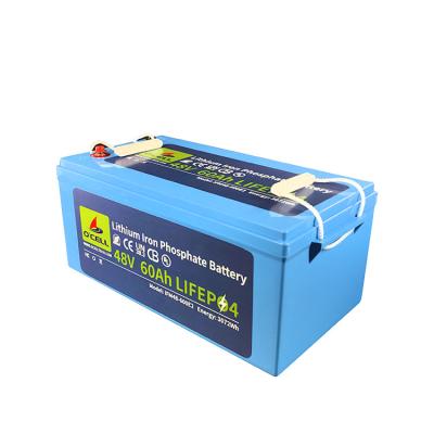 China Lifepo4 Deep Cycle Lithium Ion Battery Bms Pack 48V 60Ah 120Ah en venta