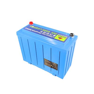 Chine Certification UL batterie au lithium phosphate 36v 60ah à vendre