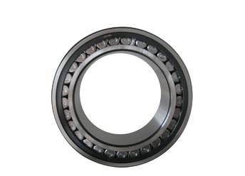China NN 3006  Cylindrical Roller Bearing for sale