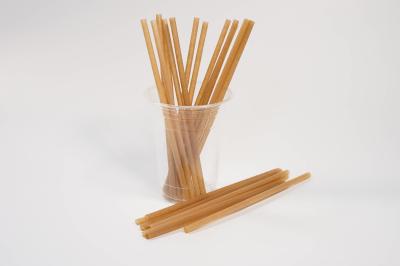 China Beverage Stores 8 Inch Biodegradable Straws Plastic With Bagasse for sale