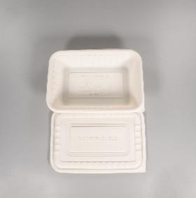 China Compostable 1000ml 34oz PLA Tableware with lid 230x160x48cm for sale