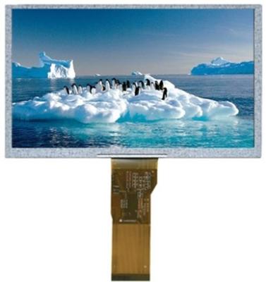 China 10.1 Inch 1024*600 Mono LCD Display IPS LCD Display MIPI Interface High Brightness for sale