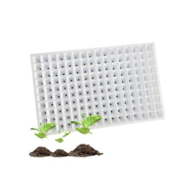 China 160 holes floating foam board floating tray for growing white seedling vegetables on water fruit laboratory for sale