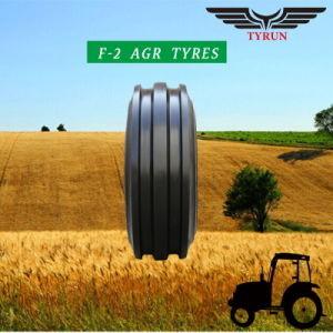 China 750-16, 4.00-14, 6.50-20, 9.00-16, F2, Arg, Farm Tire, Agricultural Tire, for sale