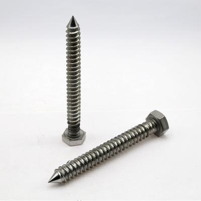 China Cold Forging Customized Stainless Steel Hex Wood Screw DIN571 Standard for sale