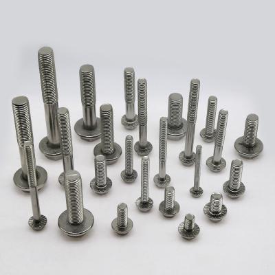 China Stainless steel flange bolt customized for sale