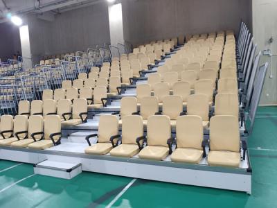 Chine Système de places assises de blanchisseur télescopique blanc de fauteuil à télécommande à vendre