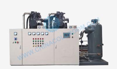 China -50℃ To -30℃ Air Cooled Condensing Units 2 Stage Refrigeration Unit for sale