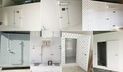 China Semi Hermetic Cold Room Doors Low Maintenance Thermal Insulated Hinged Door for sale