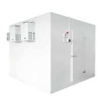 Quality Steel Plate Freezer Cold Room Temperature Controlled Chamber For Frozen Storage for sale