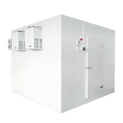 China Cámara controlada temperatura de la cámara fría del congelador de la placa de acero para el almacenamiento congelado en venta