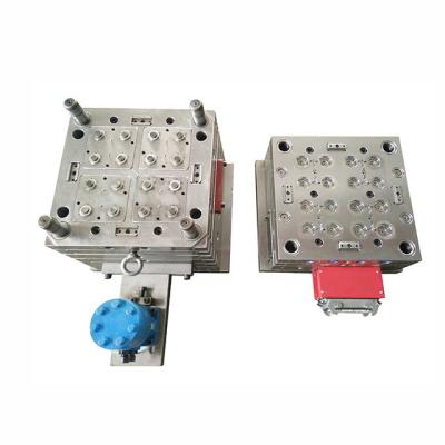 China 16cavity Automotive Plastic Mould D30mm Plastic Mold Maker For Car Hot Runner for sale