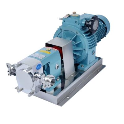 China 10LPH Auxiliary Equipments Pneumtic Chemical Dosing Pump for sale