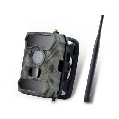 China DC 12V 12mp Hunting Trail Camera With Sd Card 940nm IR Max 32GB Waterproof IP54 for sale
