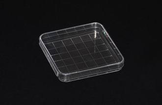 China Clear Plastic 100X15mm Sterile Petri Dishes Disposable Square Shape for Laboratory for sale