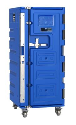 China 580 Litre OLIVO-Style Blue Large Insulated Plastic Roll Cold-Chain Logistics Container for sale