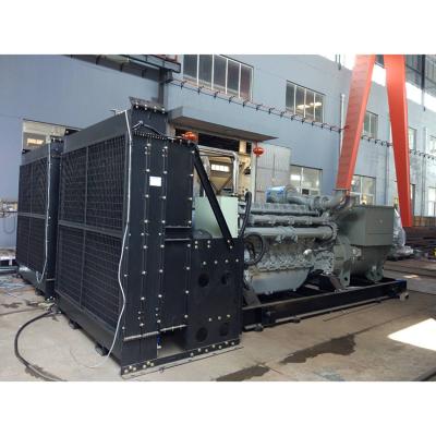 China Hot sale factory direct high voltage generator 1000KW 11000v 50 60hz RYHV1000G for sale