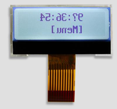 China Parallel Interface STN Graphic LCD Module Monochrome Display Colors for sale