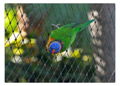 中国 30x30mmの小さい鳥の目のサイズ1.5mmのステンレス鋼 ワイヤー ロープの網 販売のため